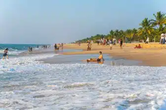 Inde du Sud : la route du thé et des épices – Image 3