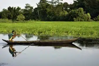 Assam