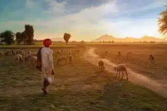 Monts Aravalli