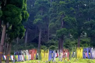 Voyage au Sikkim – Image 6