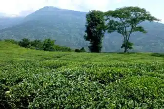 Voyage au Sikkim – Image 5