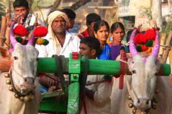 Des temples aux plages.. Kerala, Karnataka, Goa