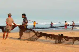 Des temples aux plages.. Kerala, Karnataka, Goa – Image 3