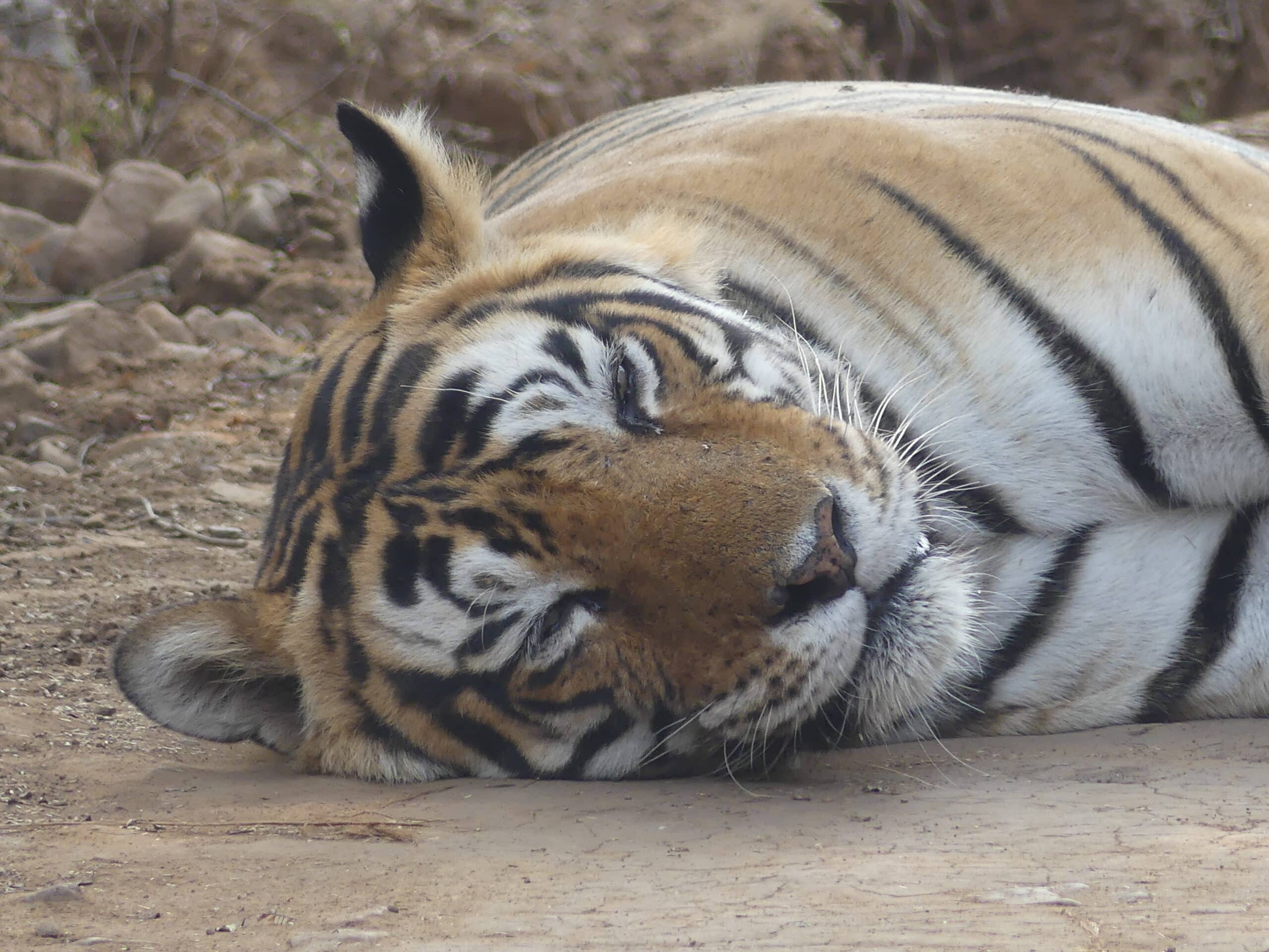 retour de voyage de Bernard et Joëlle